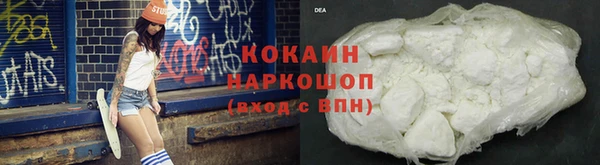 прущие грибы Беломорск