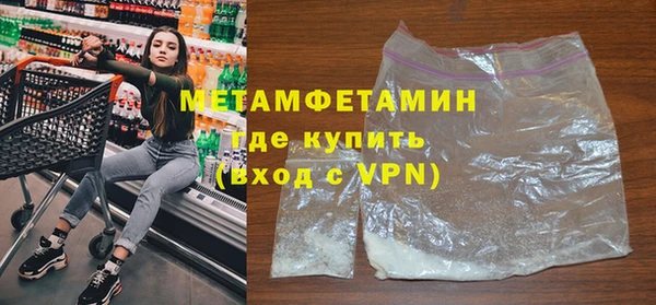 прущие грибы Беломорск