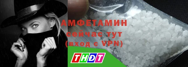 прущие грибы Беломорск