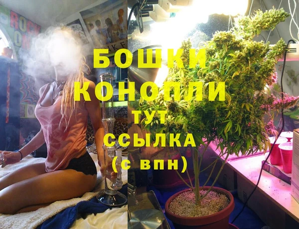 марихуана Белокуриха