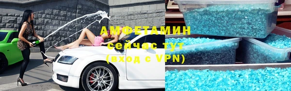 прущие грибы Беломорск