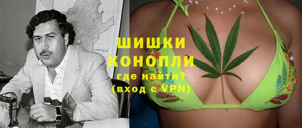 прущие грибы Беломорск