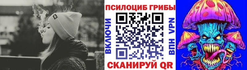 цены наркотик  Славгород  Псилоцибиновые грибы Psilocybe 